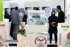 غرفه جهاددانشگاهی بوشهر در نمایشگاه توانمندی و دستاوردها