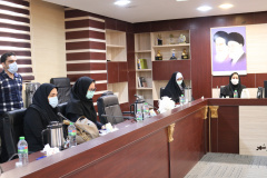 نشست مدیرعامل شرکت فناوری بن یاخته های رویان با پزشکان و ماماها در بوشهر