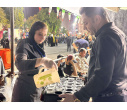 برگزاری دومین نشست «ای ایران بخوان» در موکب جهاددانشگاهی بوشهر/ تأکید بر نقش هویت ملی و زبان فارسی در ماندگاری ایران