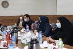 آمادگی استان بوشهر برای اجرای طرح توسعه مشاغل خانگی در سال آینده