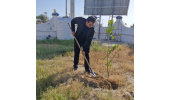 کاشت نهال درخت به مناسبت روز درختکاری و هفته منابع طبیعی و به یاد رهبر عزیز شهیدمان توسط جهاددانشگاهی بوشهر