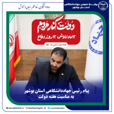 پیام رئیس جهاددانشگاهی استان بوشهر به مناسبت هفته دولت