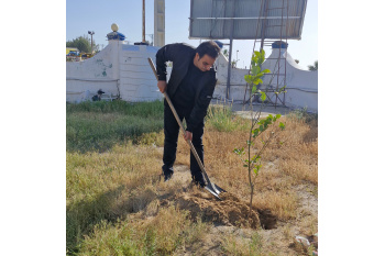 کاشت نهال درخت به مناسبت روز درختکاری و هفته منابع طبیعی و به یاد رهبر عزیز شهیدمان توسط جهاددانشگاهی بوشهر